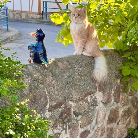 Landappartement Stritter Appartement