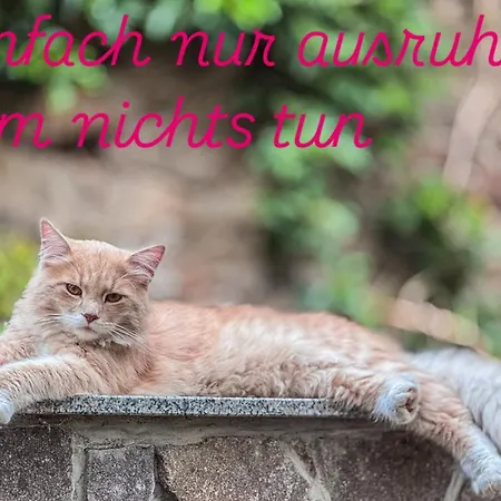 Landappartement Stritter *