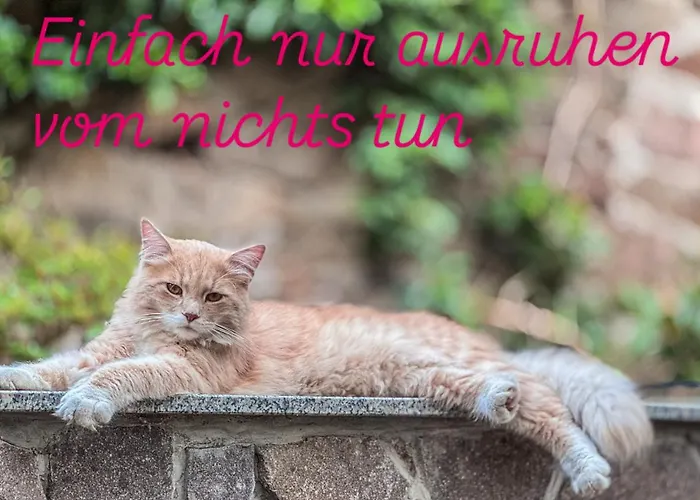 Landappartement Stritter *